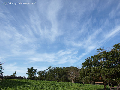 P1275983.jpg