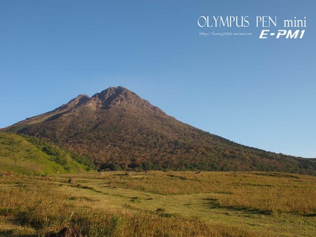 PA180464.jpg