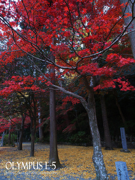 PB250206_E-5.jpg